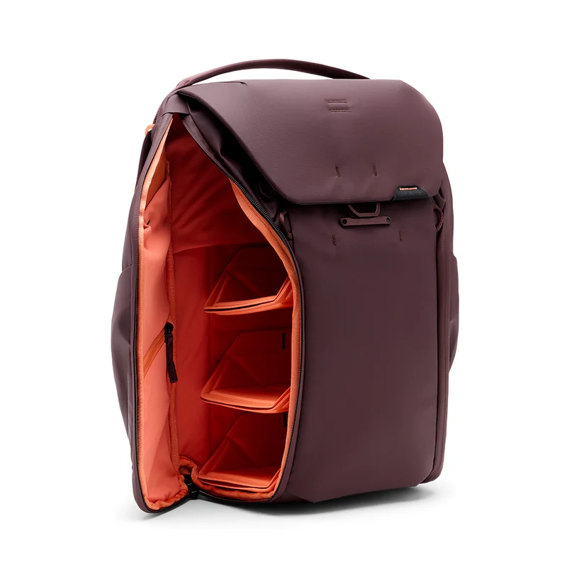 Sac à dos Everyday 20L V2 (Éclipse)