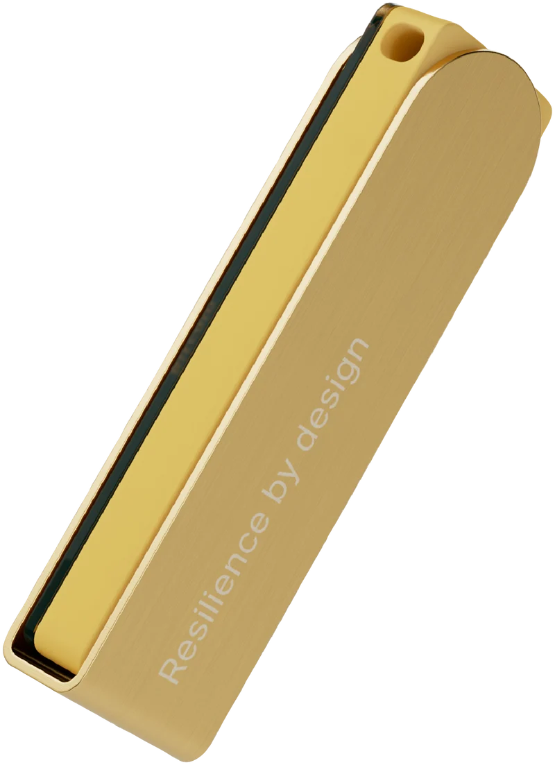 Ledger Nano X - Gold