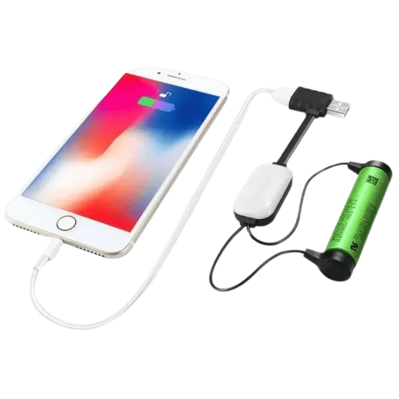 Chargeur de batterie Li-Ion portable universel