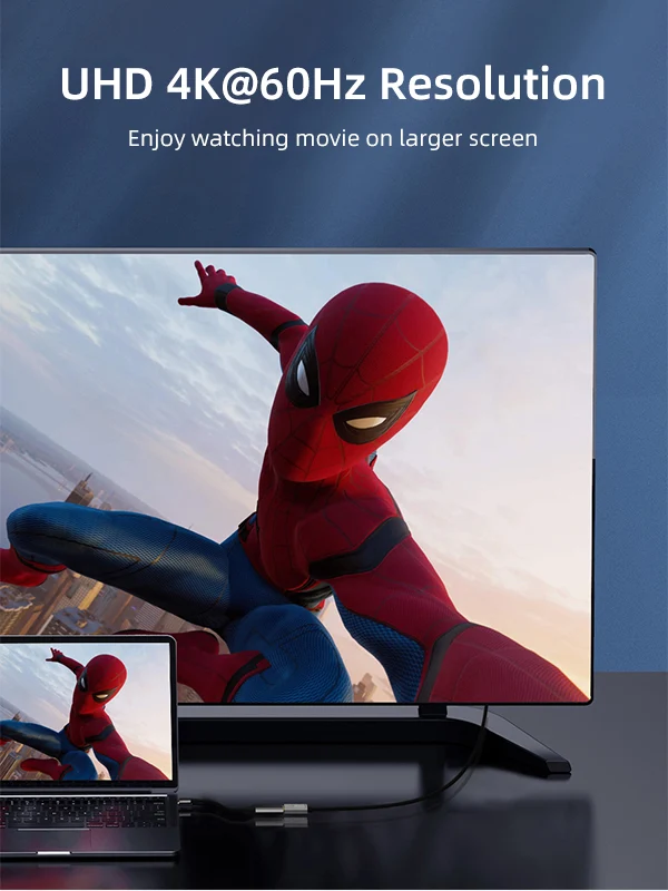 USB Type C to DisplayPort Adapter 4K 60Hz