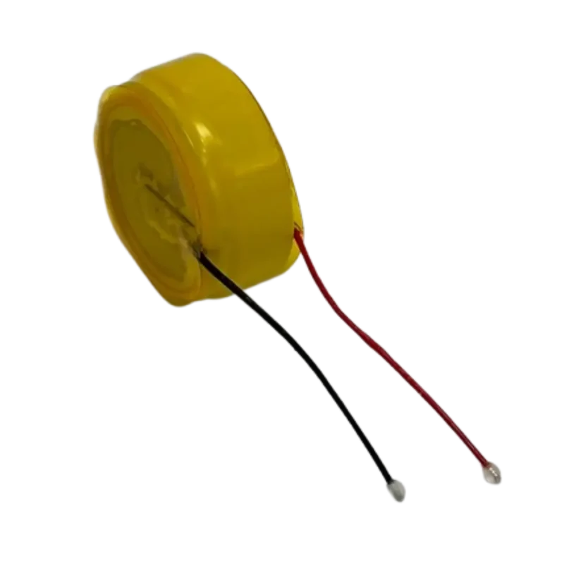 Batterie LIR1454 sortie fils