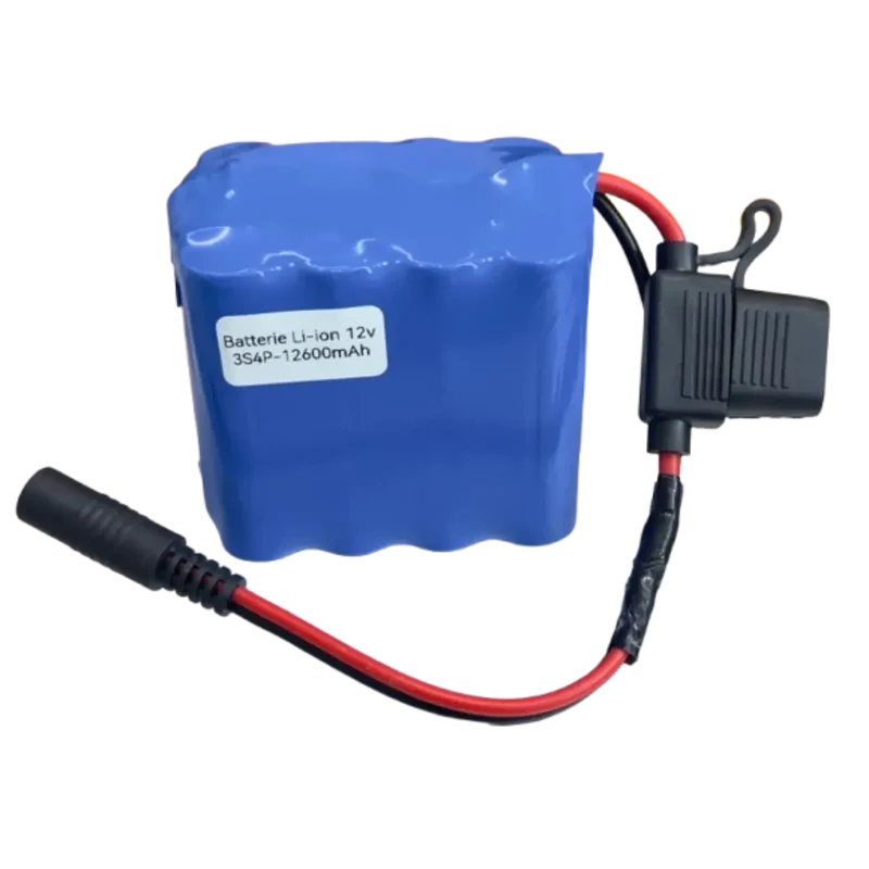 Batterie 3S4P Li-ion 12V 12.6Ah avec chargeur