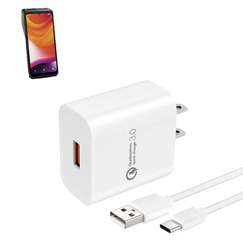 Chargeur mural pour terminal POS Castles avec câble USB-C | Agoz