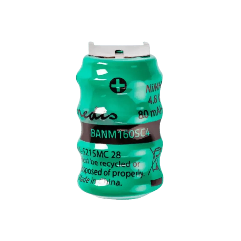 Batterie rechargeable Ni-MH 4.8V 80mAh